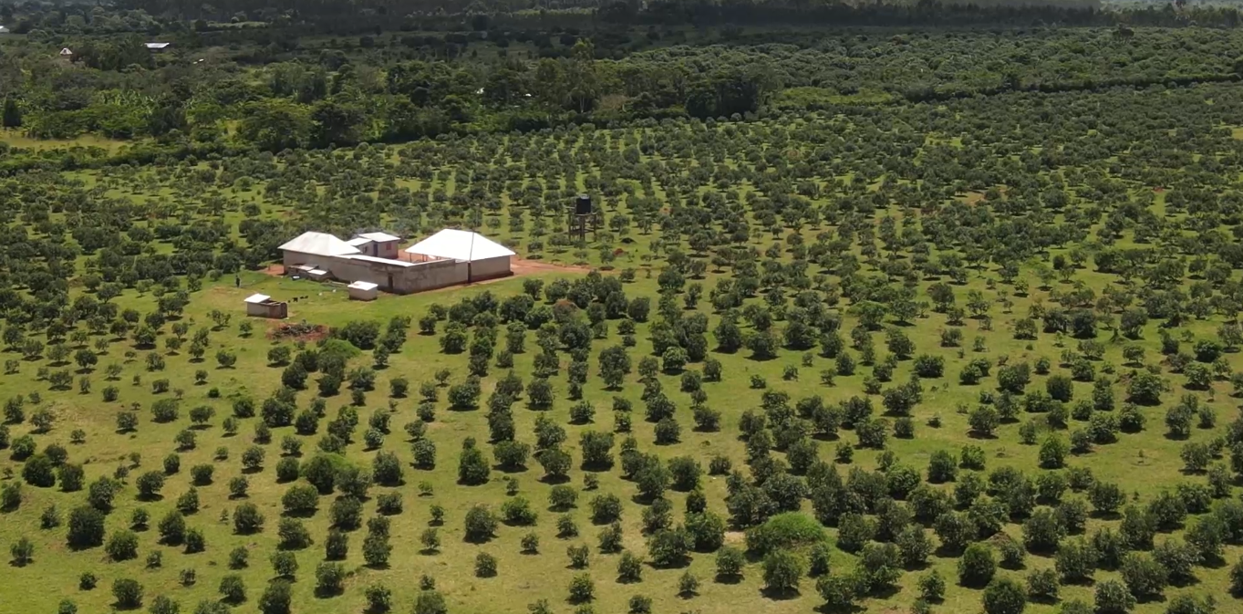 Hortifresh Certification - Quality Assurance
